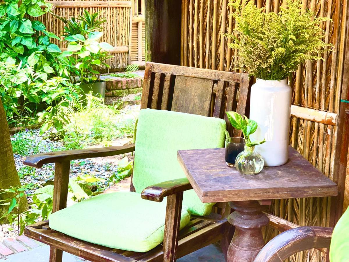 Under The Coconut Tree Hoi An Homestay מראה חיצוני תמונה