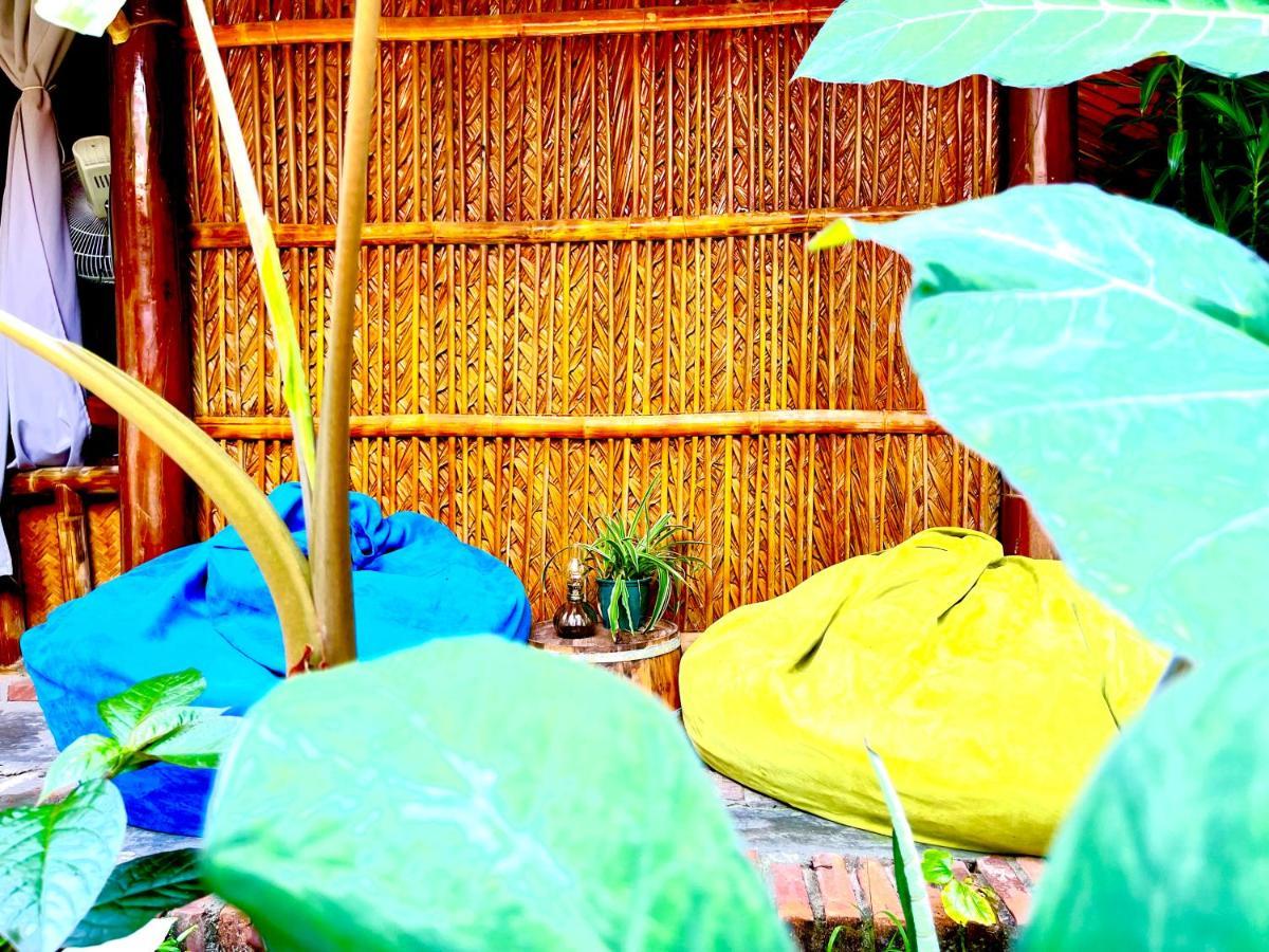 Under The Coconut Tree Hoi An Homestay מראה חיצוני תמונה