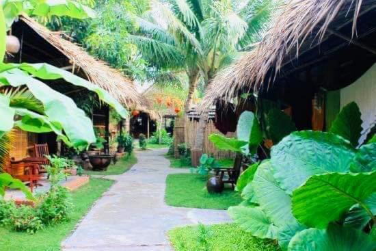 Under The Coconut Tree Hoi An Homestay מראה חיצוני תמונה